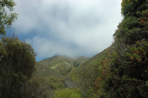 Soberanes Canyon 105.jpg